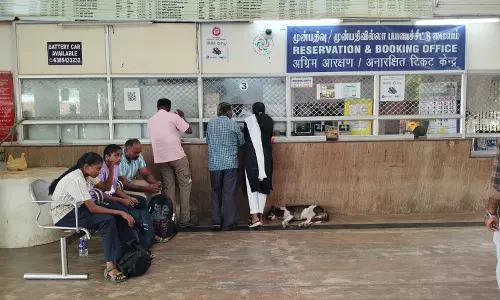 தெருநாய்கள் தொல்லை தெருநாய்கள் தொல்லை