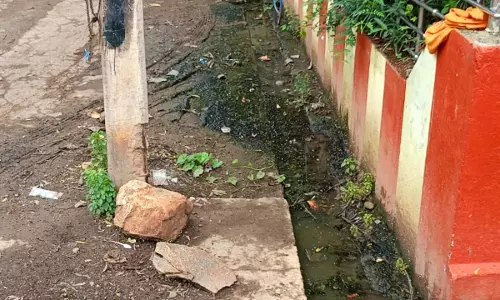 சுகாதாரக்கேடு சுகாதாரக்கேடு
