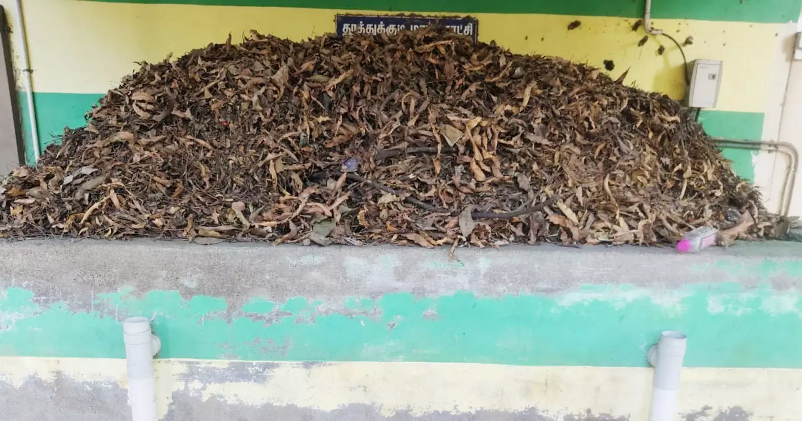 பராமரிப்பற்ற பூங்கா பராமரிப்பற்ற பூங்கா