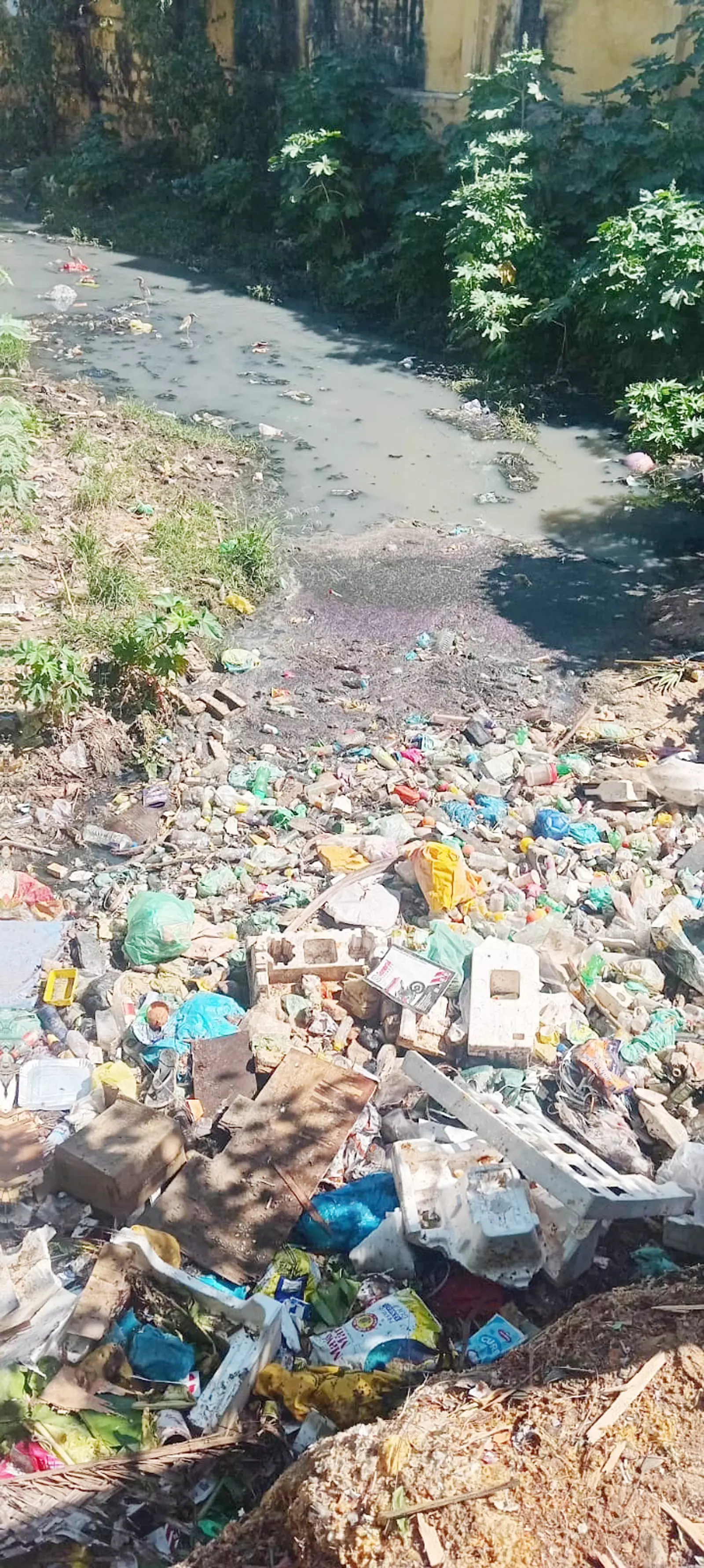 ஓடையில் குவிந்த குப்பைகள் ஓடையில் குவிந்த குப்பைகள்