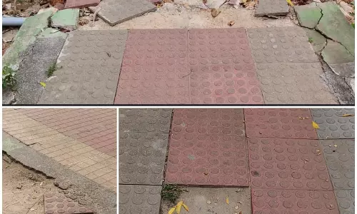பூங்கா பராமரிக்கப்படுமா? பூங்கா பராமரிக்கப்படுமா?