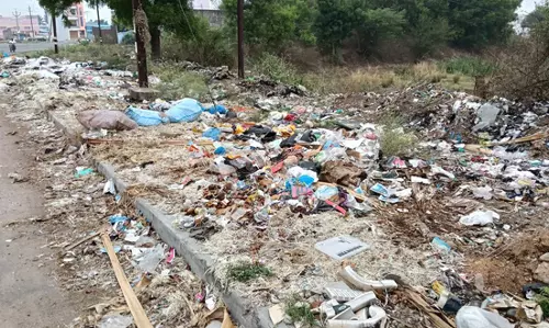 சாலையோரம் கோழி கழிவுகள் வீச்சு சாலையோரம் கோழி கழிவுகள் வீச்சு