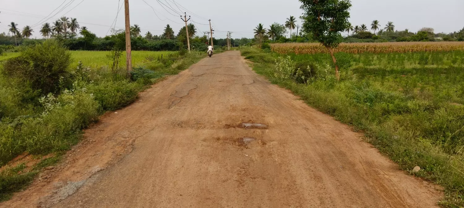 தார்சாலை சீரமைக்கப்படுமா? தார்சாலை சீரமைக்கப்படுமா?