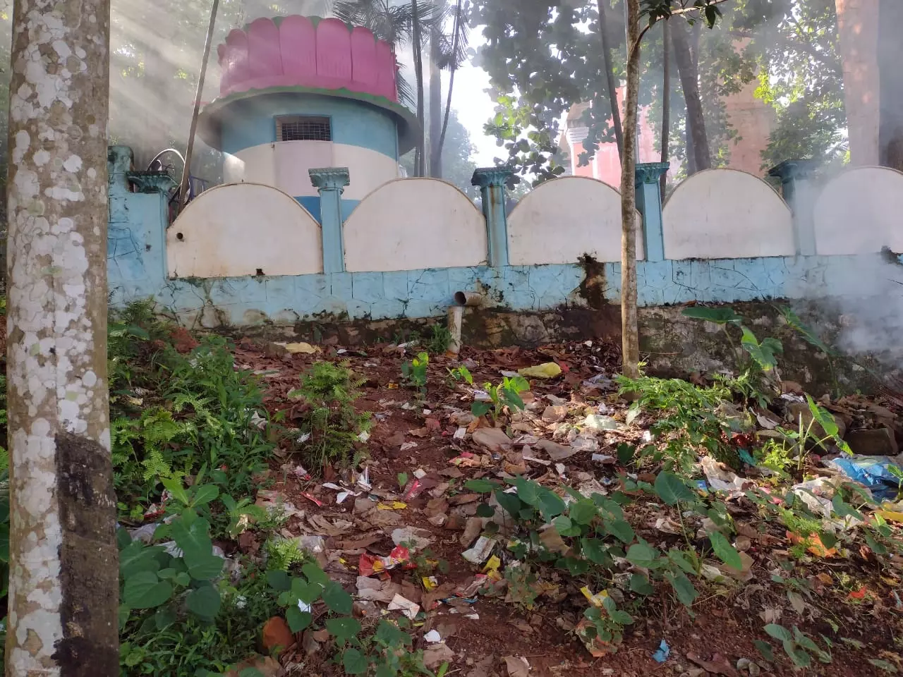 சுகாதார சீர்கேடு சுகாதார சீர்கேடு