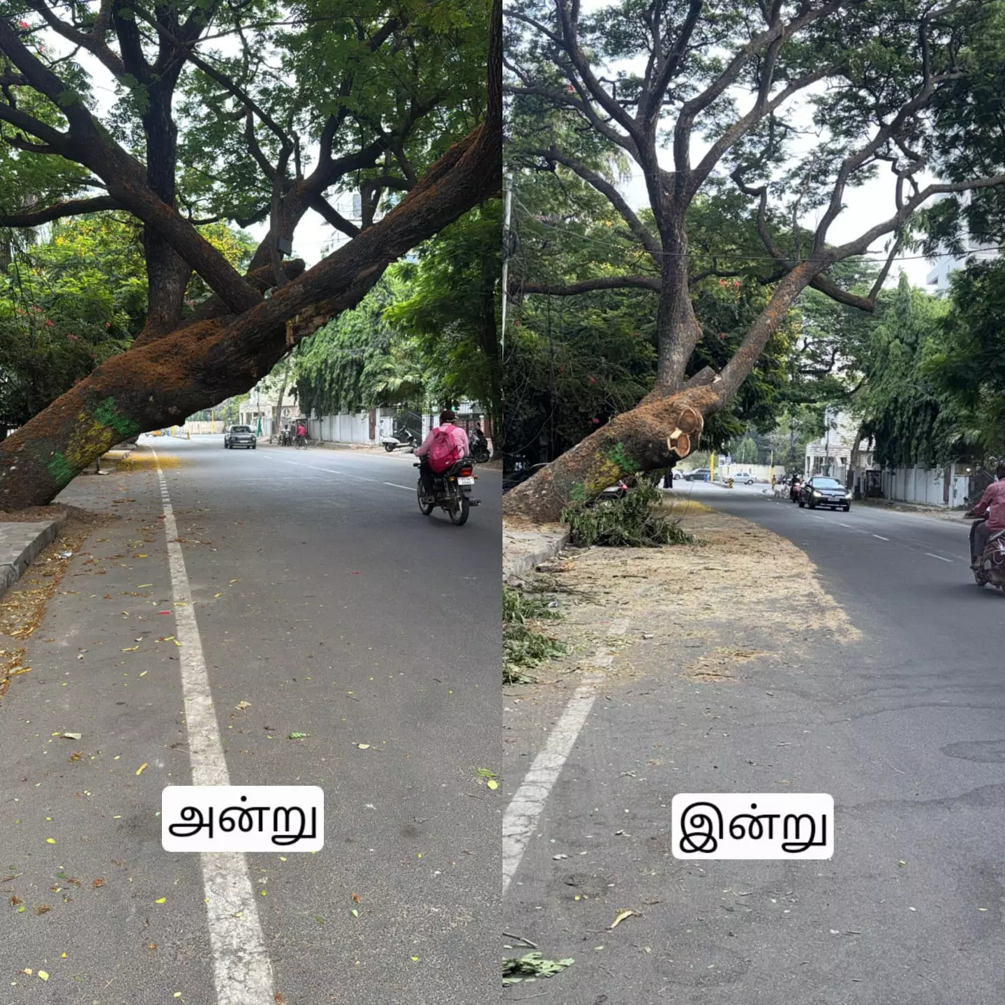 புகார் எதிரொலி புகார் எதிரொலி