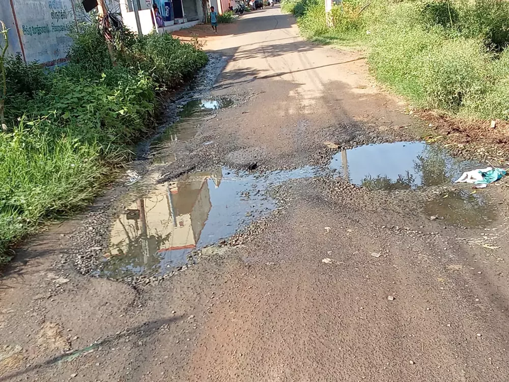 சுகாதாரக்கேடு சுகாதாரக்கேடு