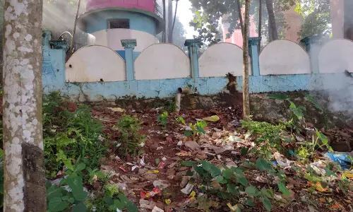 சுகாதார சீர்கேடு