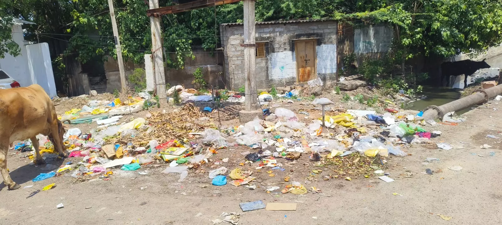 குப்பை தொட்டி தேவை குப்பை தொட்டி தேவை
