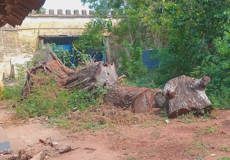 புதர்மண்டிய பள்ளிக்கூட வளாகம் புதர்மண்டிய பள்ளிக்கூட வளாகம்