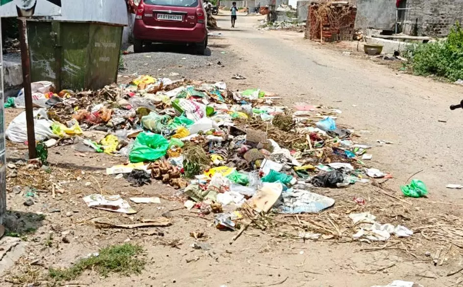 குப்பைகள் அகற்றப்படுமா?