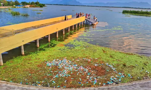 படகு குழாம் சுத்தம் செய்யப்படுமா?