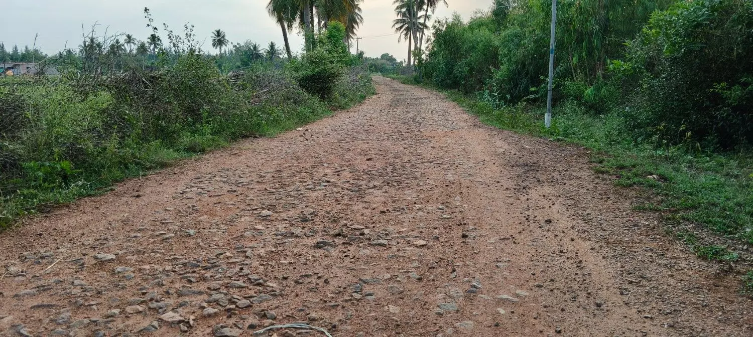 குண்டும், குழியுமான சாலை குண்டும், குழியுமான சாலை