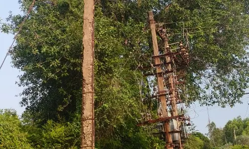 எலும்புக்கூடாய் காட்சியளிக்கும் மின்கம்பம்