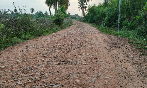 குண்டும், குழியுமான சாலை