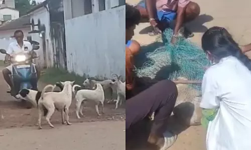 புகார் எதிரொலி