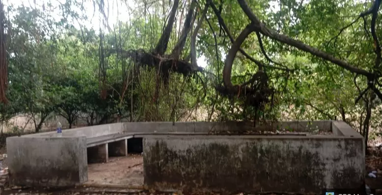 புதுப்பிக்கப்படுமா இருக்கைகள் புதுப்பிக்கப்படுமா இருக்கைகள்