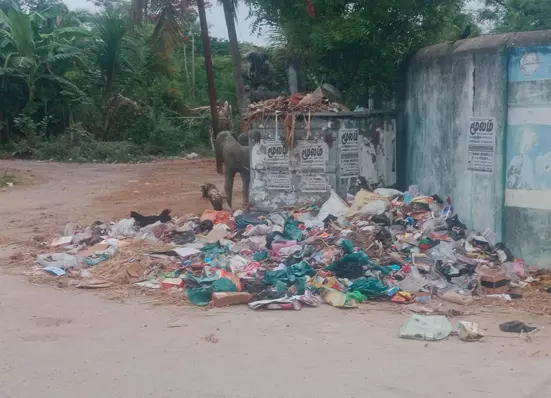 குப்பைகளை அகற்ற வேண்டும் குப்பைகளை அகற்ற வேண்டும்