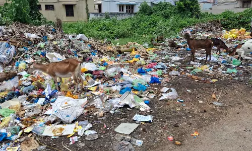 குப்பையால் சுகாதாரக்கேடு