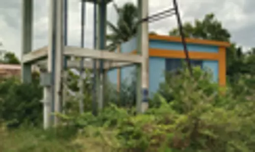 புதர் அகற்றப்படுமா?