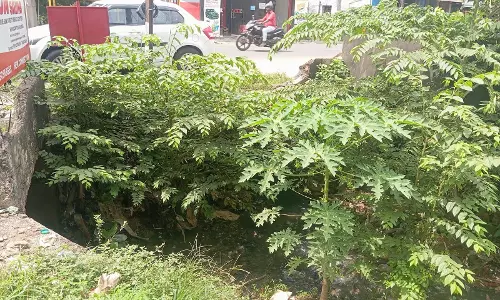 கழிவுநீர் ஓடையில்ஆக்கிரமிப்பு