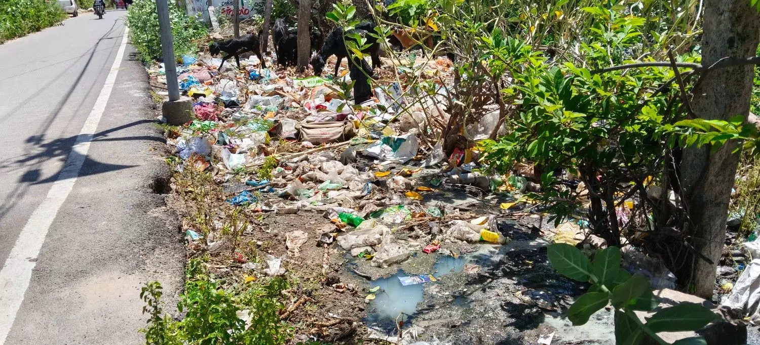 சுகாதார சீர்கேடு சுகாதார சீர்கேடு