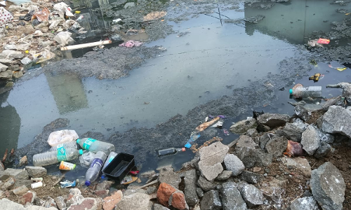 சுகாதார சீர்கேடு