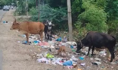 குப்பைத்தொட்டி வேண்டும்