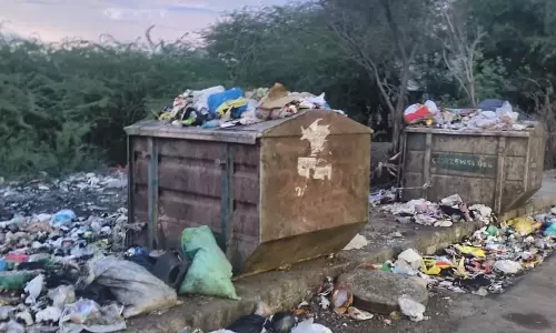 அள்ளப்படாத குப்பைகள் அள்ளப்படாத குப்பைகள்