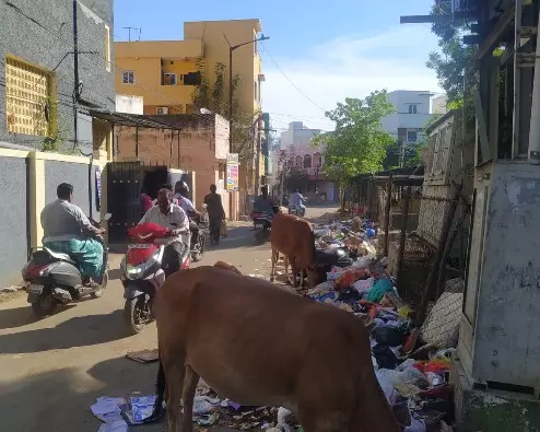 சாலையில் கொட்டப்படும் குப்பைகள் சாலையில் கொட்டப்படும் குப்பைகள்
