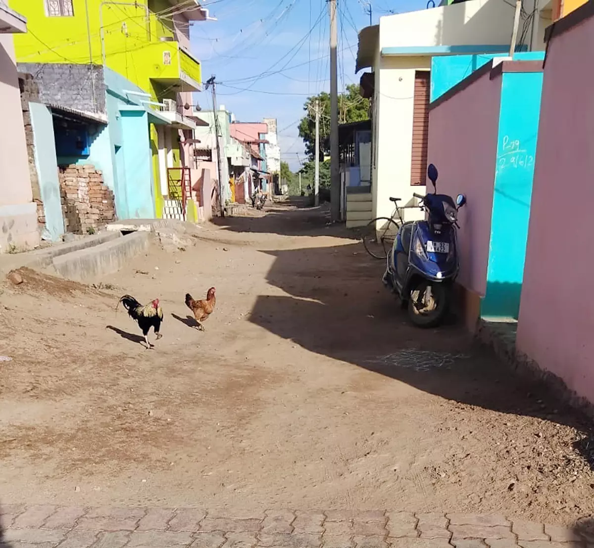 சாலை வசதி வேண்டும் சாலை வசதி வேண்டும்