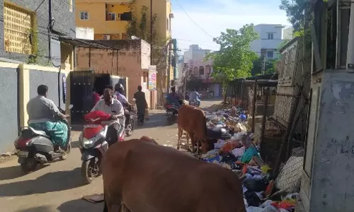 சாலையில் கொட்டப்படும் குப்பைகள் சாலையில் கொட்டப்படும் குப்பைகள்