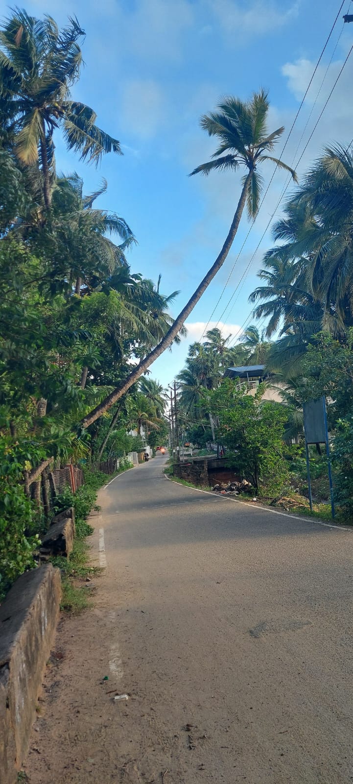 போக்குவரத்து இடையூறு