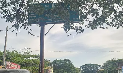 மரக்கிளையால் மறைந்த வழிகாட்டி பலகை மரக்கிளையால் மறைந்த வழிகாட்டி பலகை