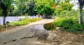 வீணாகும் குடிநீர் வீணாகும் குடிநீர்