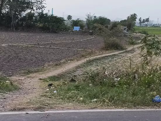 சுடுகாடு செல்லும் வழி ஆக்கிரமிப்பு சுடுகாடு செல்லும் வழி ஆக்கிரமிப்பு