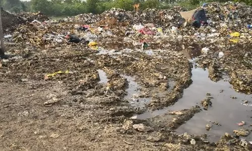 குப்பைமேடு