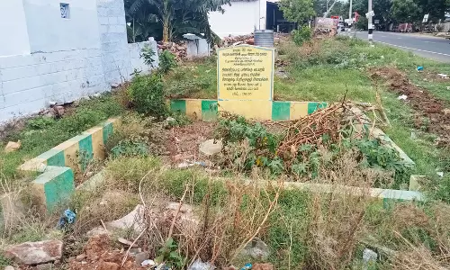 புதர்மண்டிக்கிடக்கும் நீர் உறிஞ்சிக்குழி புதர்மண்டிக்கிடக்கும் நீர் உறிஞ்சிக்குழி