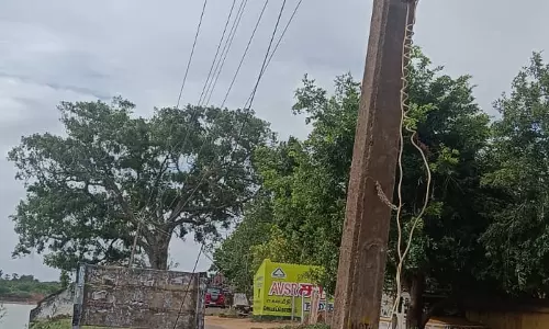 தாழ்வாகத் தொங்கும் மின்கம்பிகள் தாழ்வாகத் தொங்கும் மின்கம்பிகள்