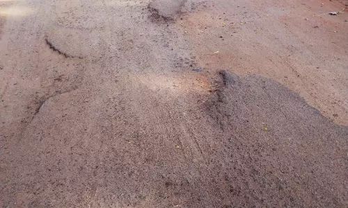குண்டும் குழியுமான சாலை குண்டும் குழியுமான சாலை