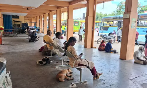 நாய்களால் பயணிகளுக்கு இடையூறு நாய்களால் பயணிகளுக்கு இடையூறு