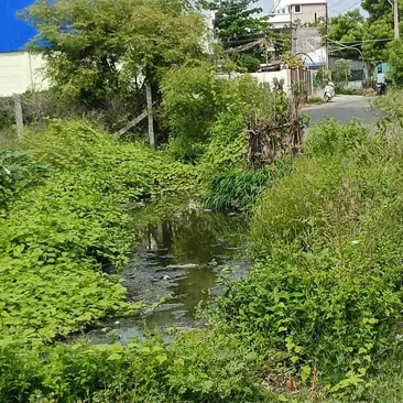 சாக்கடை வசதி வேண்டும் சாக்கடை வசதி வேண்டும்