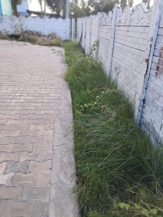 கால்வாயை தூர்வார வேண்டும் கால்வாயை தூர்வார வேண்டும்
