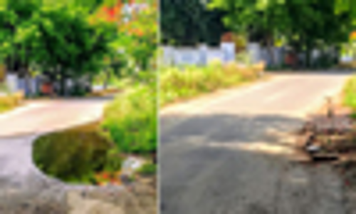 ‘தினத்தந்தி’-க்கு பாராட்டு