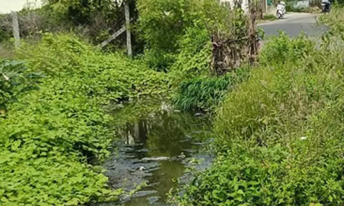 சாக்கடை வசதி வேண்டும்