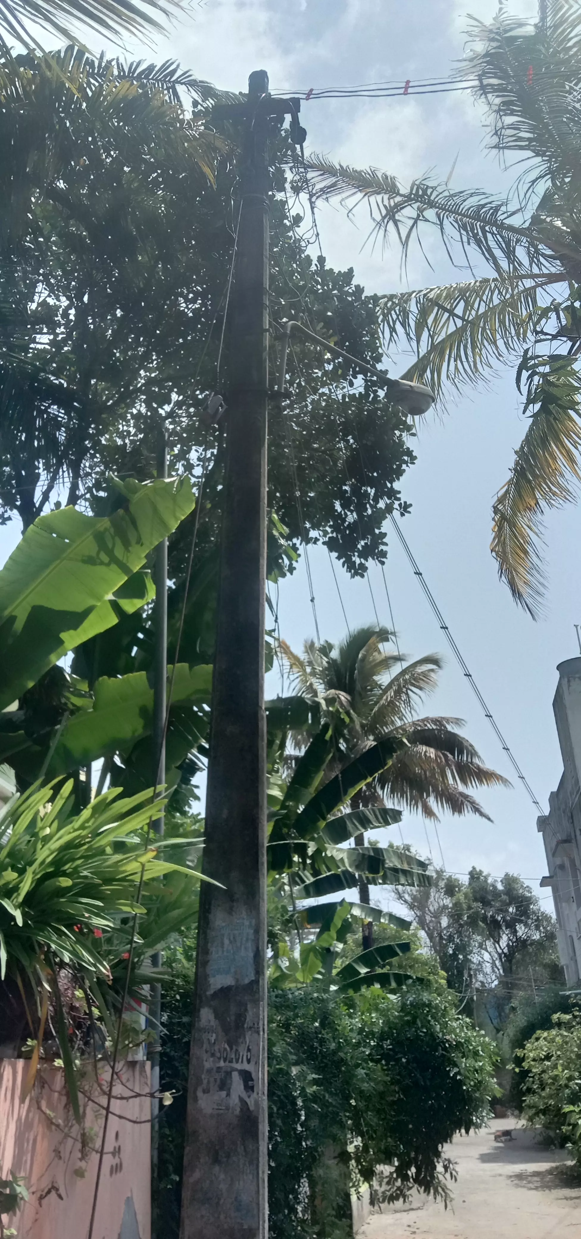 ஒளிராத மின்விளக்கு ஒளிராத மின்விளக்கு