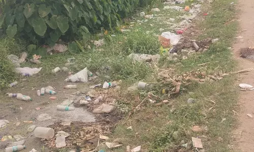 சாலையின் ஓரத்தில் கொட்டப்படும் குப்பைகள்
