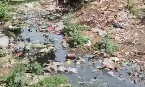 சுகாதார சீர்கேடு