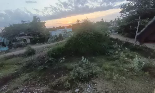 விஷ ஜந்துகள் நடமாட்டம்