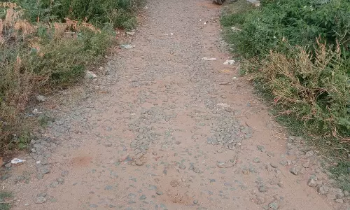 பாதியில் நிறுத்தப்பட்ட சாலை பணி