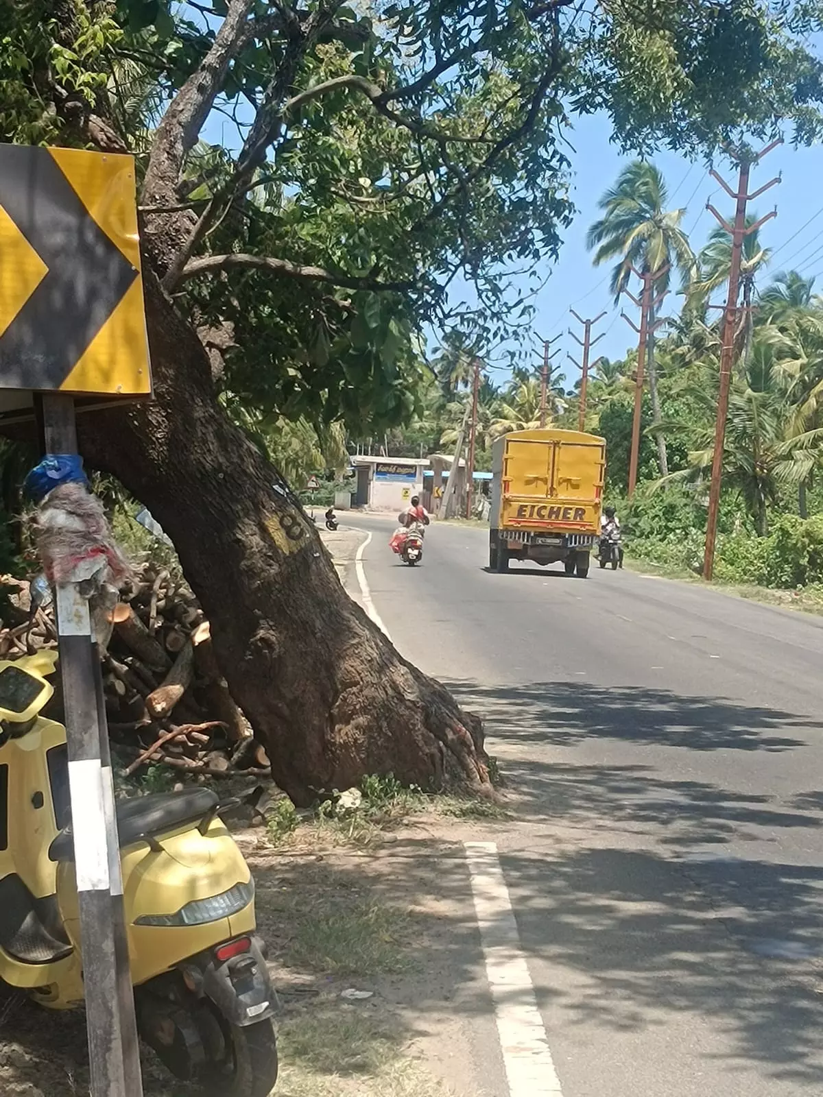 நடவடிக்கை எடுக்கப்படுமா? நடவடிக்கை எடுக்கப்படுமா?